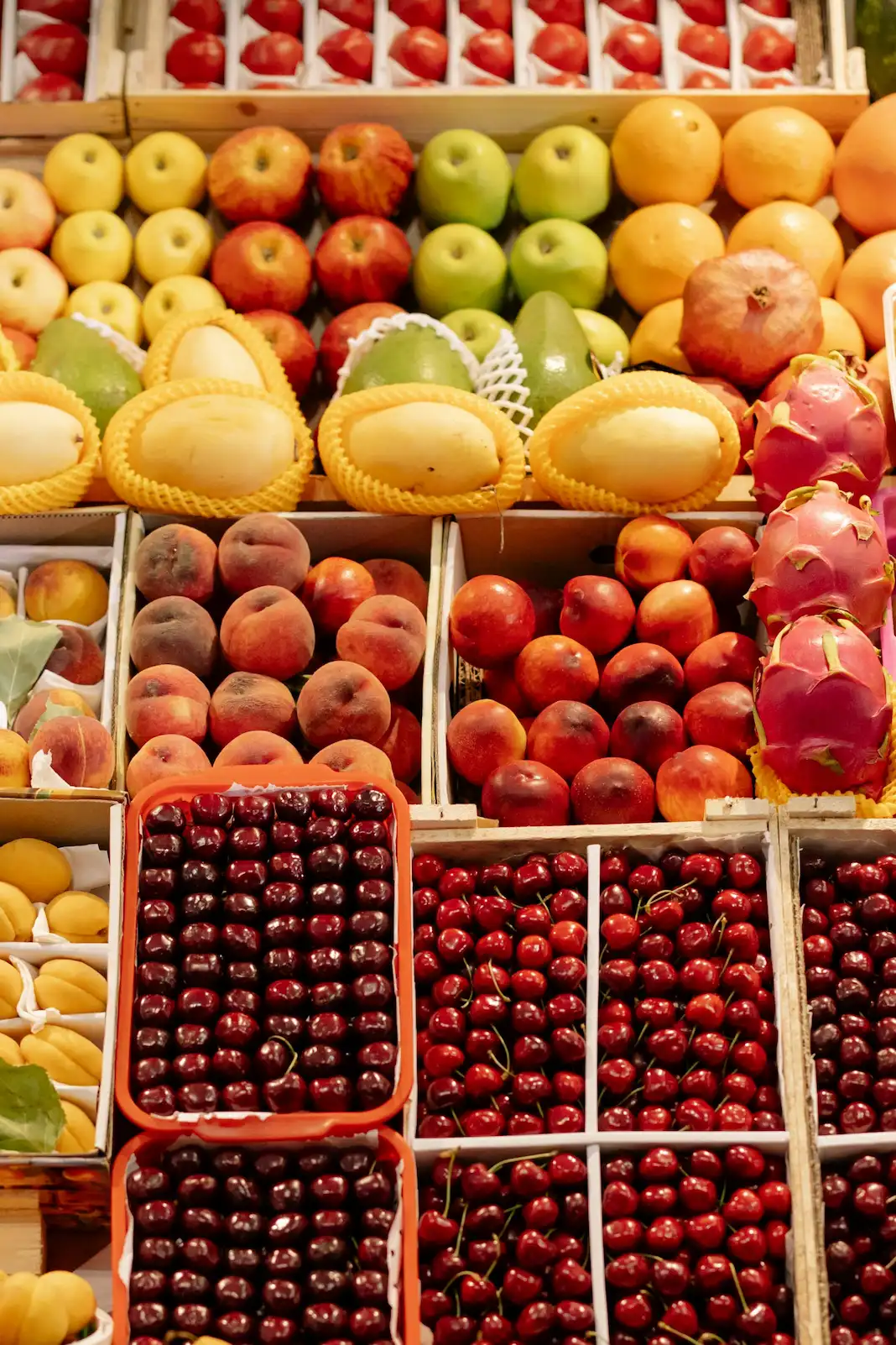 Licencia de actividad Frutería